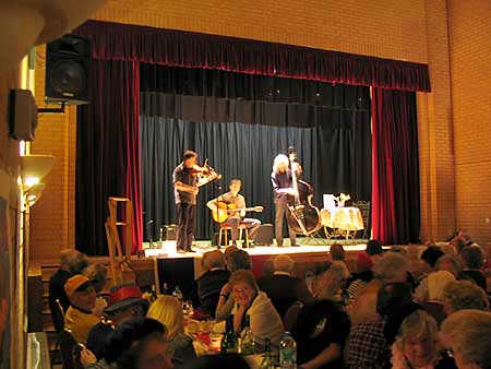 Mike Piggott Trio on stage