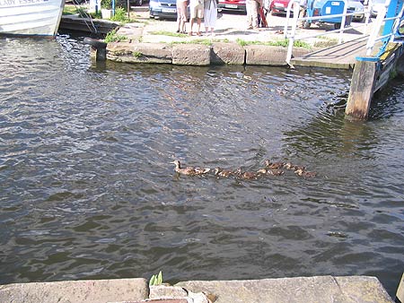 Heybridge Basin